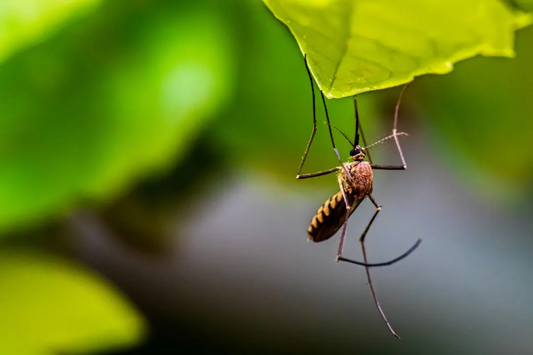 Mosquito and Tick Programs visual