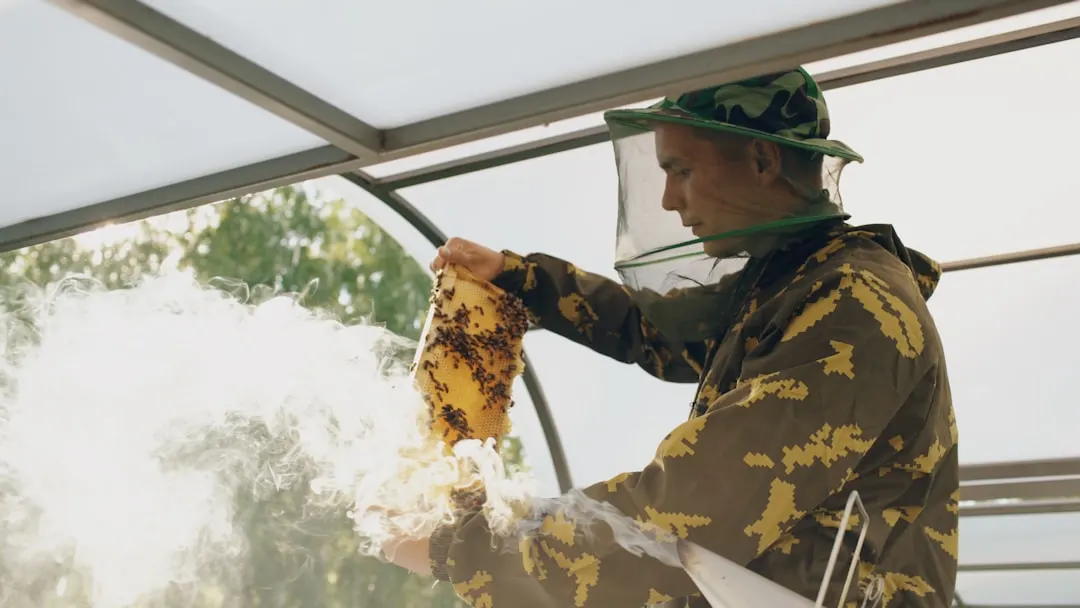 Stinging-Insect Service service process